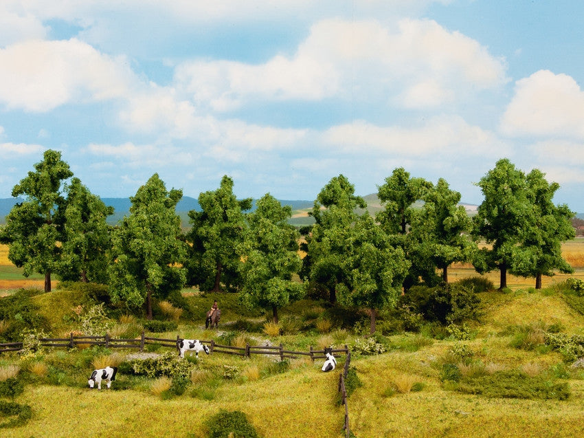 Deciduous Standard Trees 14-18cm (6)