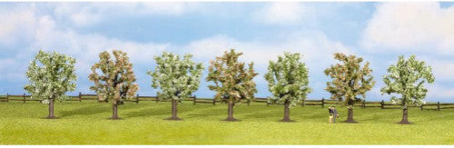 Fruit Tree in Blossom (7) Classic Economy Trees 8cm