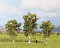 Birch (3) Classic Trees 4.5cm