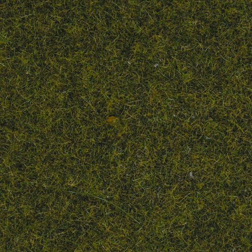 Meadow Scatter Grass 2.5mm (100g)