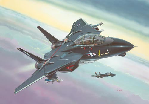 F-14A Black Tomcat (1:144 Scale)